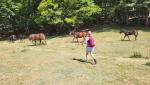 mit leichtem und frohen Schritt wandern wir weiter
