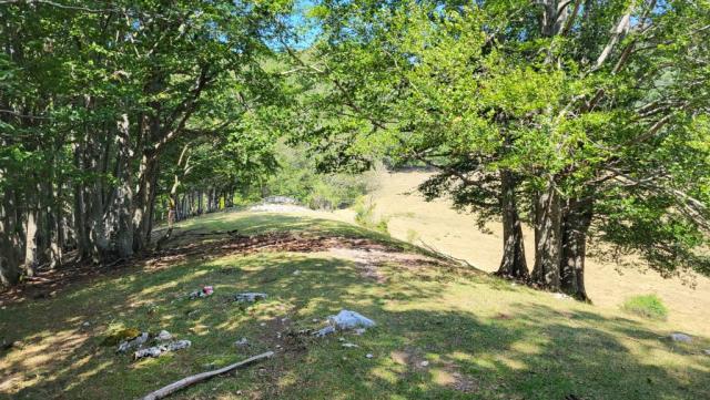 wir erreichen die nächste Lichtung, die Prati di S.Maria