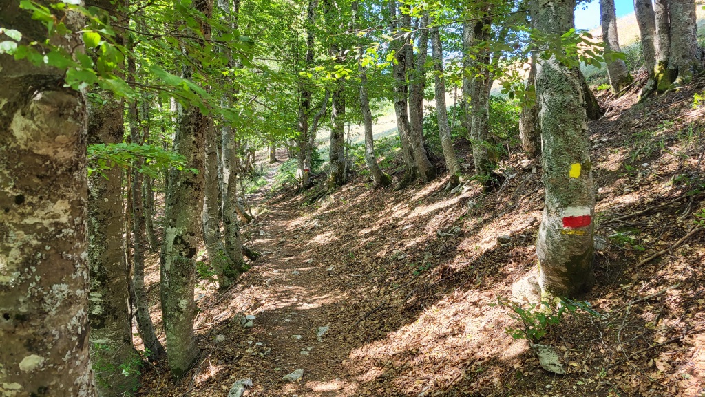 alles am Bergkamm entlang, geht es weiter aufwärts