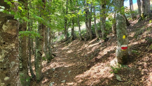 alles am Bergkamm entlang, geht es weiter aufwärts