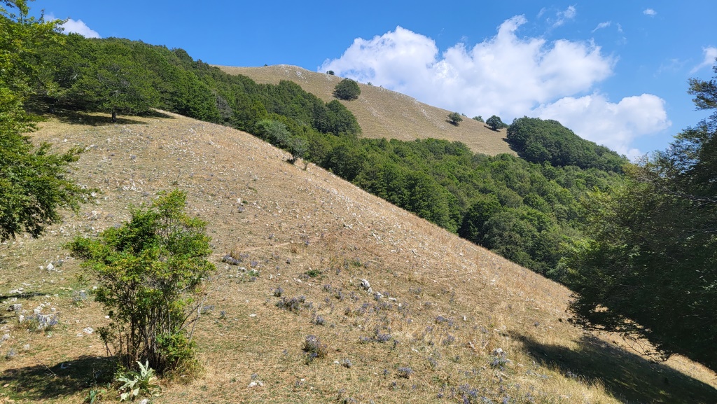der Grenzstein 454 markiert gleichzeitig das wir den höchsten Punkt des Cammino di San Benedetto erreicht haben