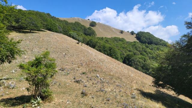 der Grenzstein 454 markiert gleichzeitig das wir den höchsten Punkt des Cammino di San Benedetto erreicht haben