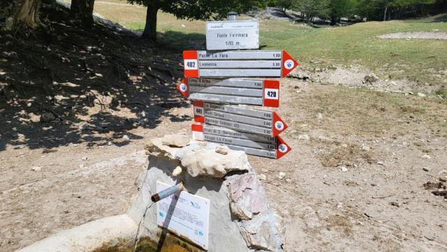 hinter dem Grenzstein führt ein Pfad hinunter zur Lichtung Petrinara...