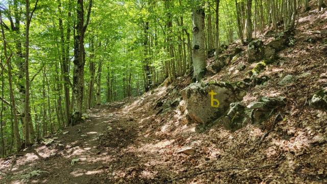 wir folgen der Markierung das uns durch einen Wald zwischen Cima d'Arme und Monti Ceresa führt