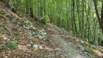 wir folgen den Weg, der beständig abwärts führt