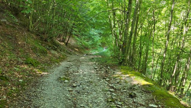alles der Valle Petrianara entlang, verlieren wir laufend an Höhe