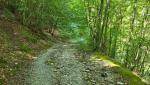 alles der Valle Petrianara entlang, verlieren wir laufend an Höhe