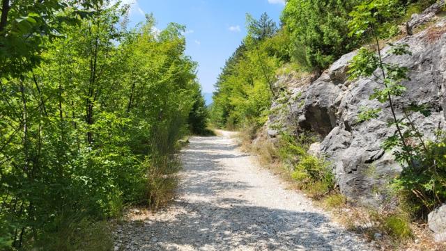wir durchqueren ein sehr schöner Buchenwald und erreichen danach ein Fahrweg den wir folgen