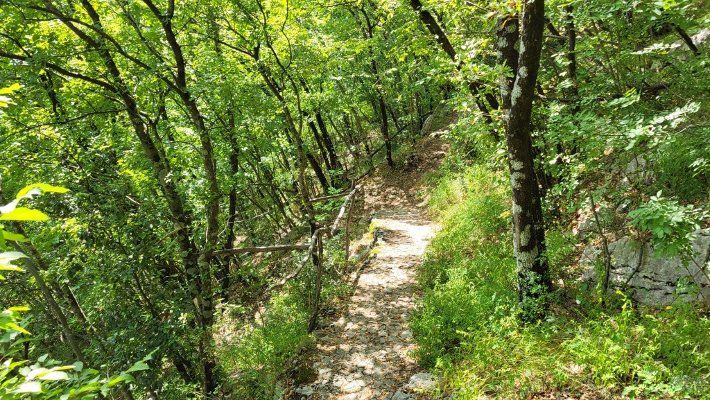 über einen Serpentinen Weg, den Franz von Assisi mehrmals zurückgelegt hat,