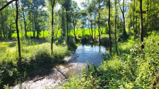 immer wieder stossen wir auf das Ufer des mäandrienden Turano