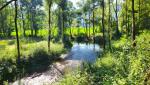 immer wieder stossen wir auf das Ufer des mäandrienden Turano