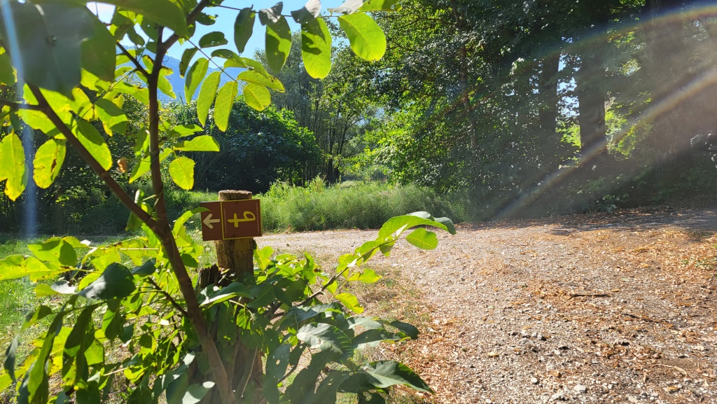 Wegweiser zeigen uns die Richtung