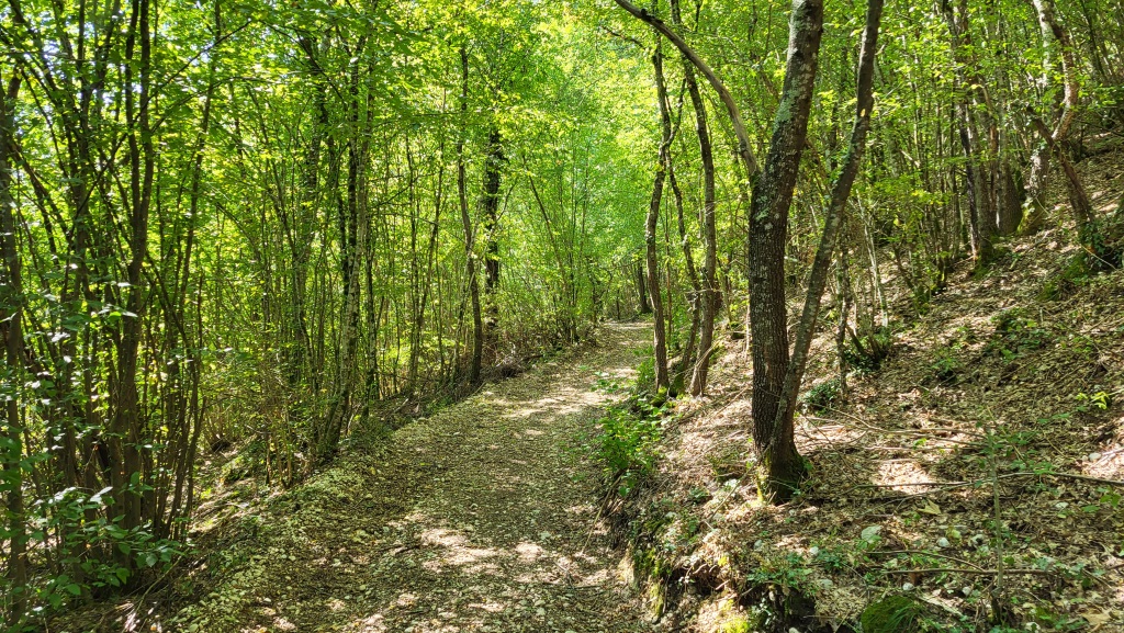 steil geht es nun durch den Wald Richtung Belmonte in Sabina