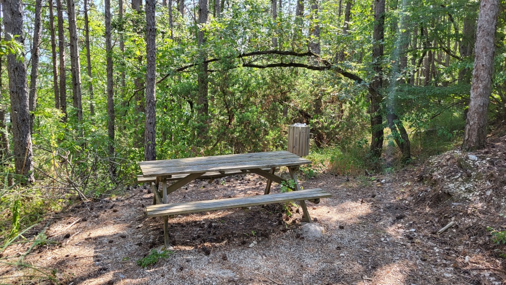 mitten im Wald direkt neben dem Wanderweg, stossen wir auf einen Picknick Platz