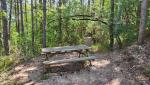 mitten im Wald direkt neben dem Wanderweg, stossen wir auf einen Picknick Platz