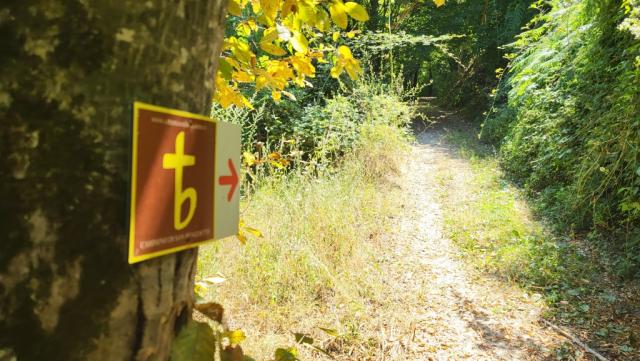 nach der Mittagspause geht es weiter auf dem Cammino di San Benedetto
