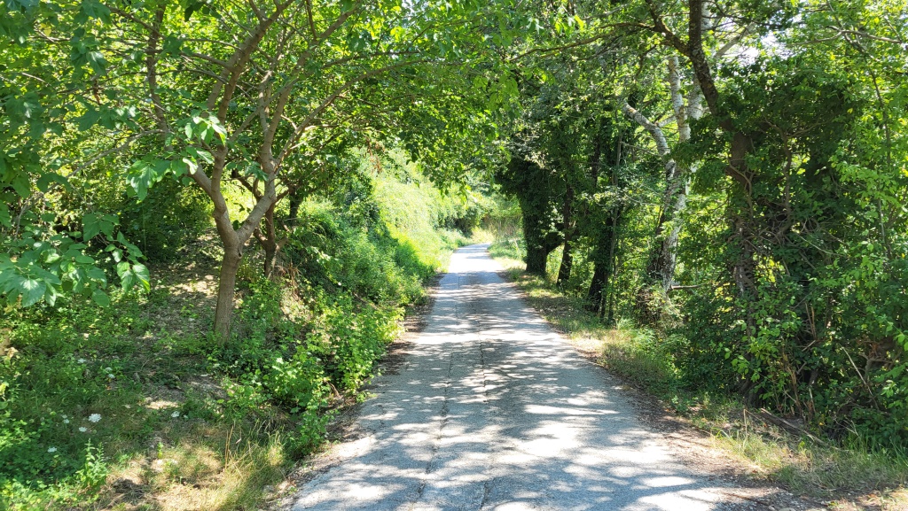 was nun folgt ist ein schöner Höhenweg...