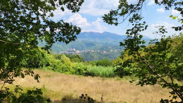 zwischen den Bäumen taucht zum ersten mal Rocca Sinibalda auf