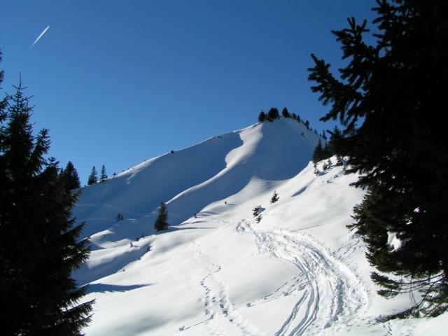 Spuren im Schnee