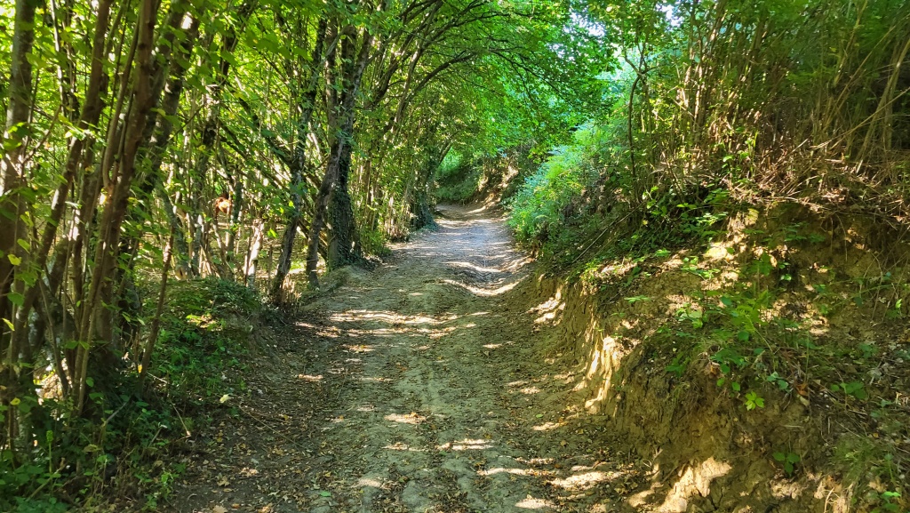 wir wandern durch die Wälder der Sabiner Berge