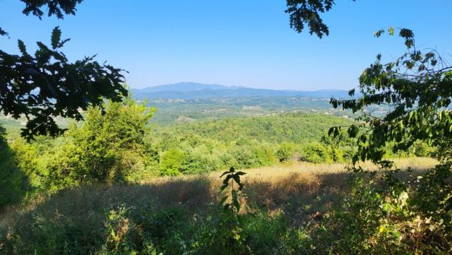 zwischendurch erhaschen wir schöne Blicke in die nahegelegenen Berge