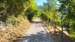 inmitten einer grossartigen Natur geht es nun leicht abwärts Richtung Posticciola