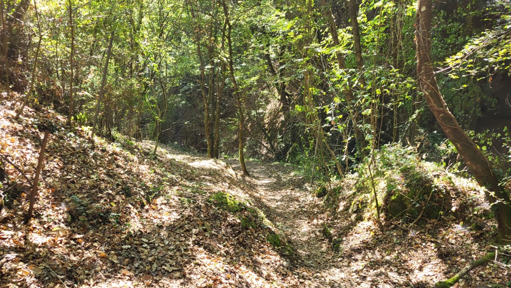 die Natur hat in den Jahrhunderten die ehemalige Kopfsteinpflasterstrasse zurückerobert