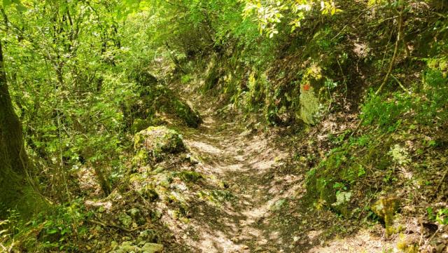 der Weg führt weiterhin steil abwärts zum Flussbett des Turano...