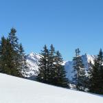 im Hintergrund Säntis und Altmann