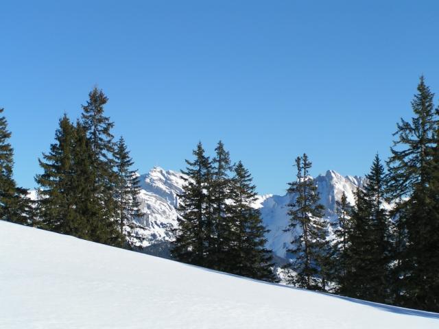 im Hintergrund Säntis und Altmann