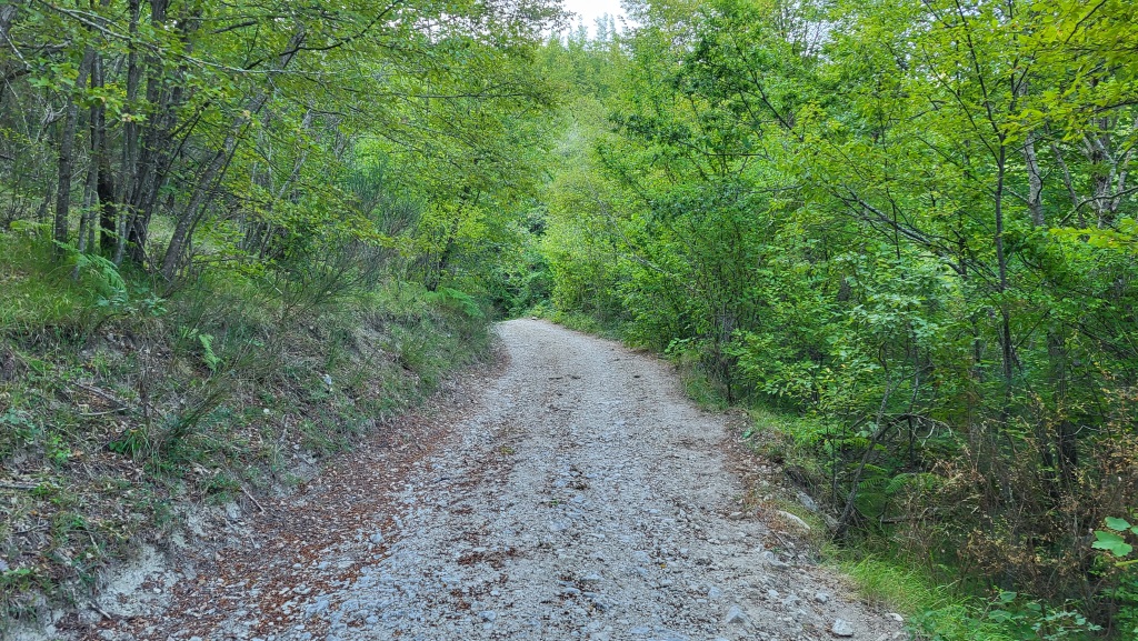 wir durchqueren schattige Wälder