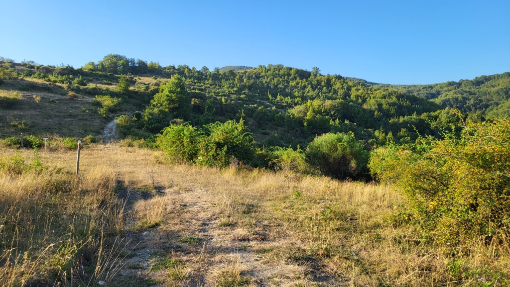 von einem Hügel wandern wir nun zum nächsten