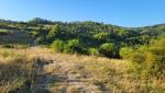 von einem Hügel wandern wir nun zum nächsten