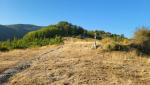 der Weg ist bis hier noch gut ersichtlich und die Markierungen vorhanden