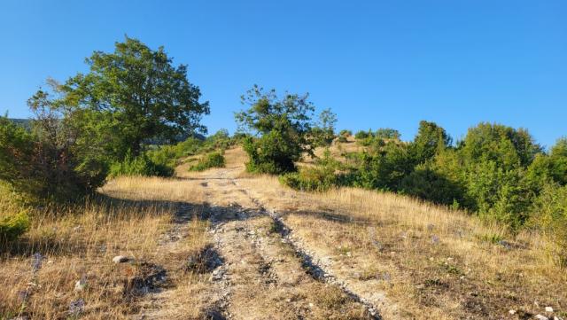 der Weg ist weiterhin ersichtlich. Dennoch gibt uns das Handy mit GPS und Wanderkarten, die notwendige Sicherheit