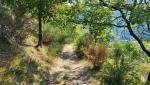 an Ginster vorbei...
