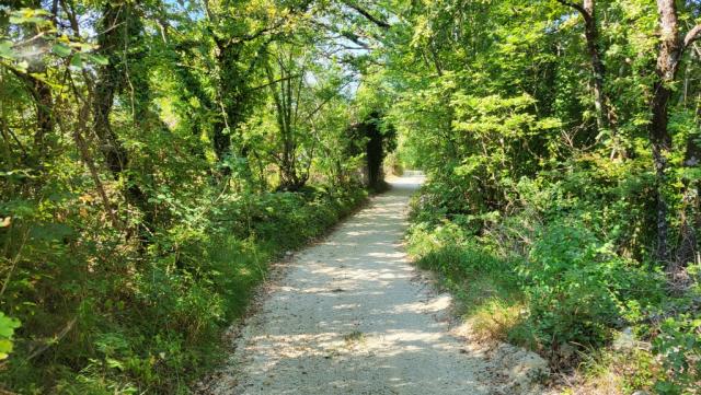über einen angenehmen Waldweg, verlieren wir rasch an Höhe