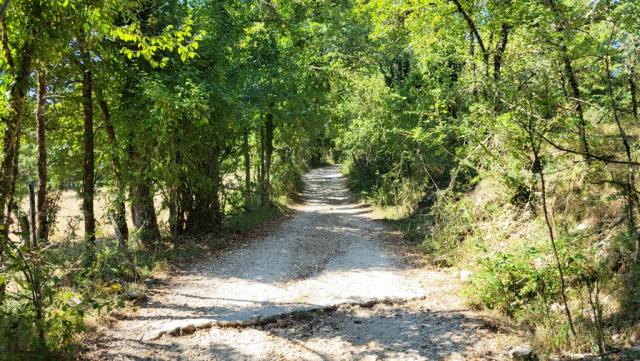 bei der kleinen Kirche Santa Maria del Piano tauchen wir in den Wald hinein