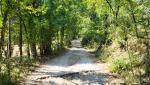 bei der kleinen Kirche Santa Maria del Piano tauchen wir in den Wald hinein