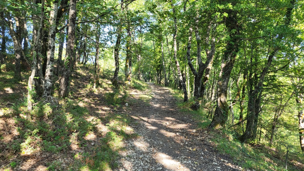 wie auf allen Pilgerwegen, auf denen wir in Italien unterwegs waren, trifft man Pilger nur selten