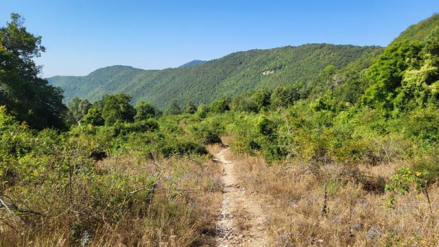 der Bergweg ist meistens gut ersichtlich, tritzdem sind wir froh das Handy mit Wanderkarten und GPS dabei zu haben