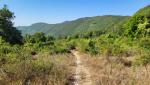 der Bergweg ist meistens gut ersichtlich, tritzdem sind wir froh das Handy mit Wanderkarten und GPS dabei zu haben
