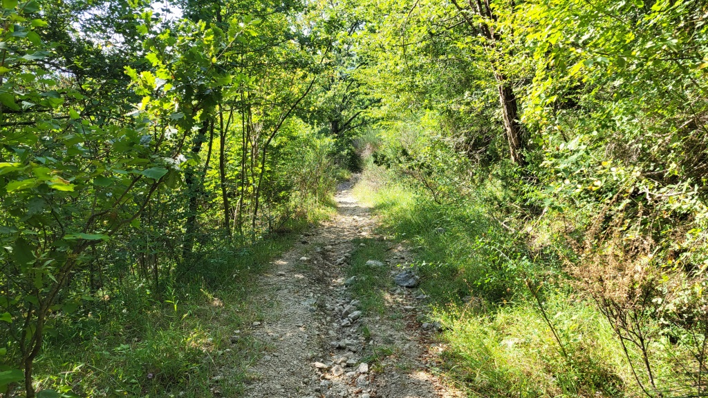 Sanft führt uns der Bergweg abwärts, dem Ort Licenza entgegen