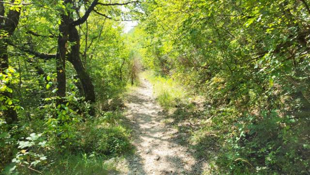 wir durchwandern eine Umgebung, die so ursprünglich ist, dass man kaum glauben möchte,...
