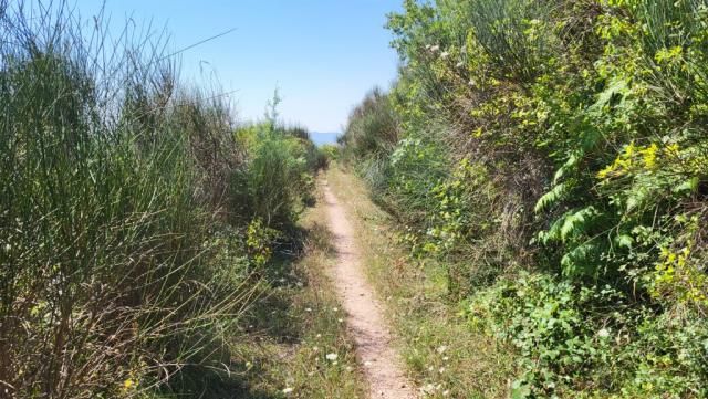 ...dass uns nur 40 km Luftlinie vom römischen Stadtzentrum trennen