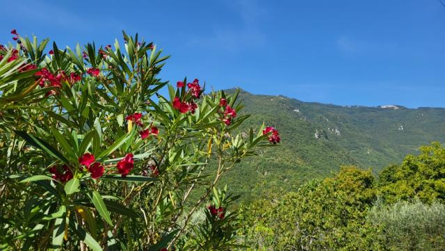 die Natur und die Fernsicht ist grossartig