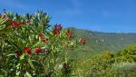die Natur und die Fernsicht ist grossartig