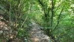 der Cammino di San Benedetto führt uns, der Hauptstrasse ausweichend, nun rechts vorbei an Civitella di Licenza