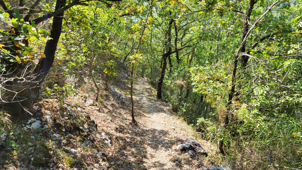 der schöne Waldweg führt uns ins Tal der Cascata del Giardino dei Cinque Sensi hinunter