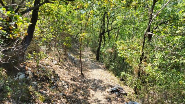 der schöne Waldweg führt uns ins Tal der Cascata del Giardino dei Cinque Sensi hinunter